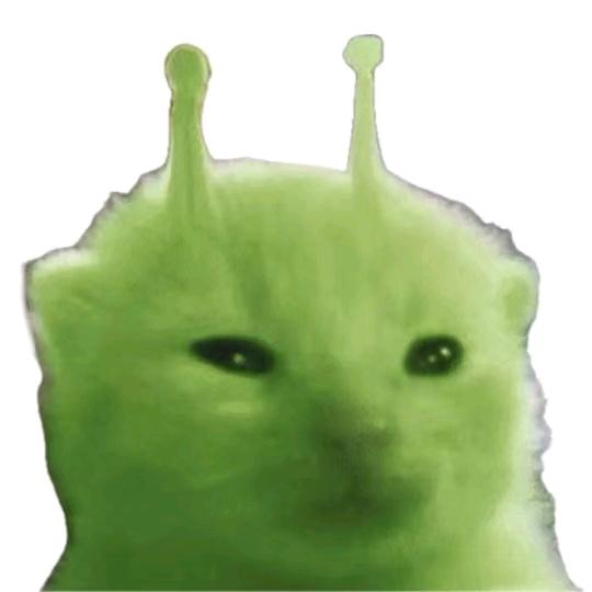 士兵外星小猫一号