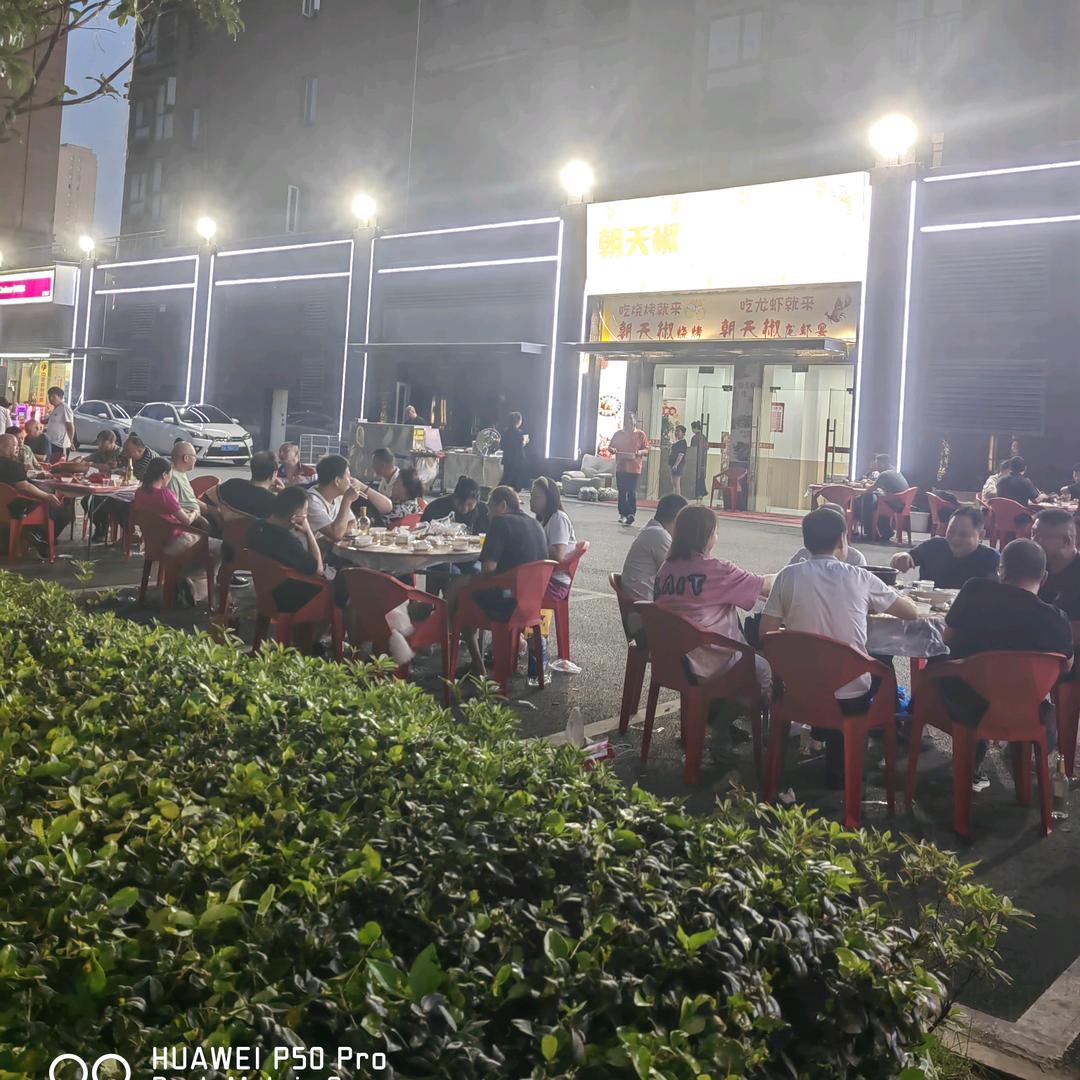 朝天椒烧烤大排档@向向