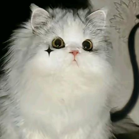 创途客旅行包工厂