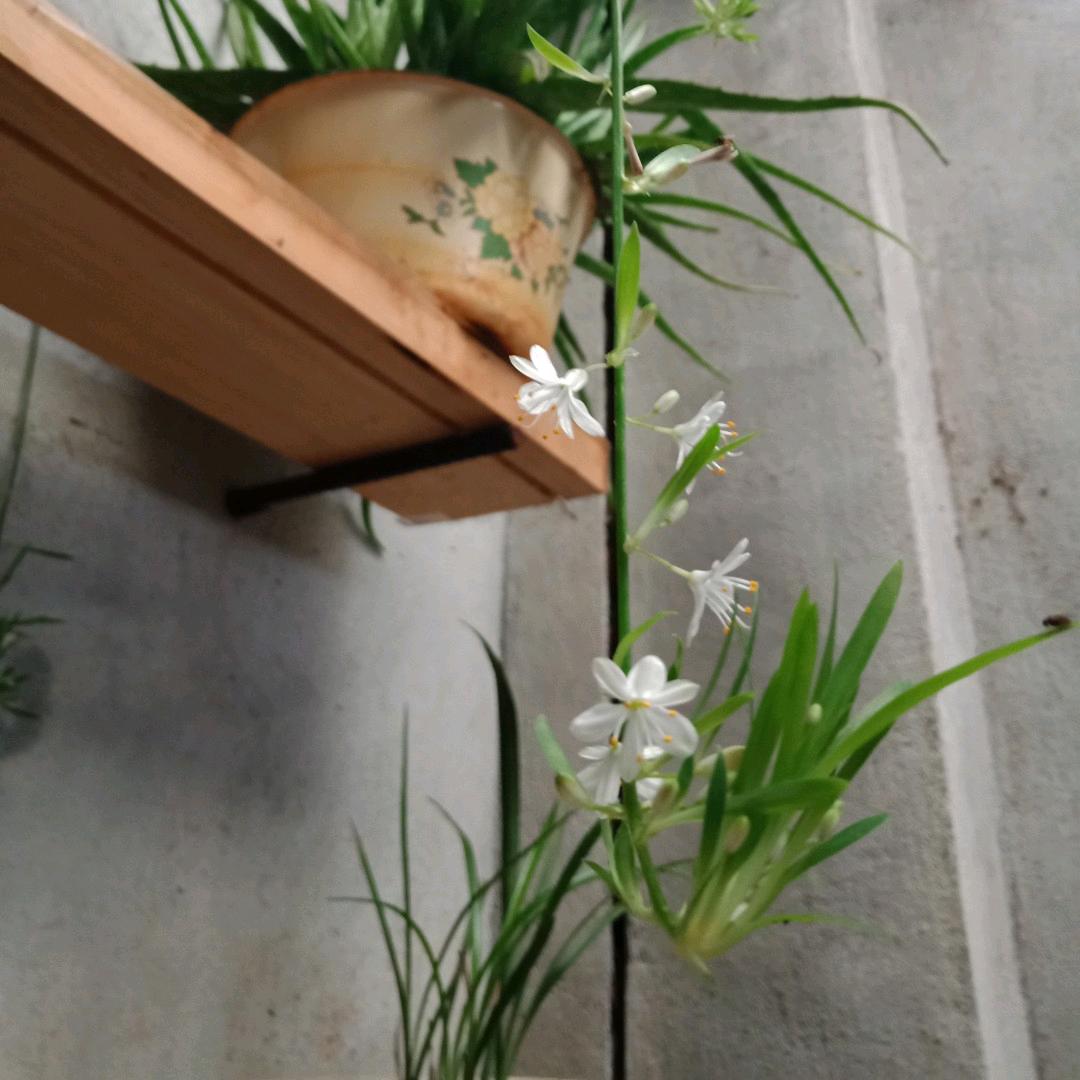 漠抹零食