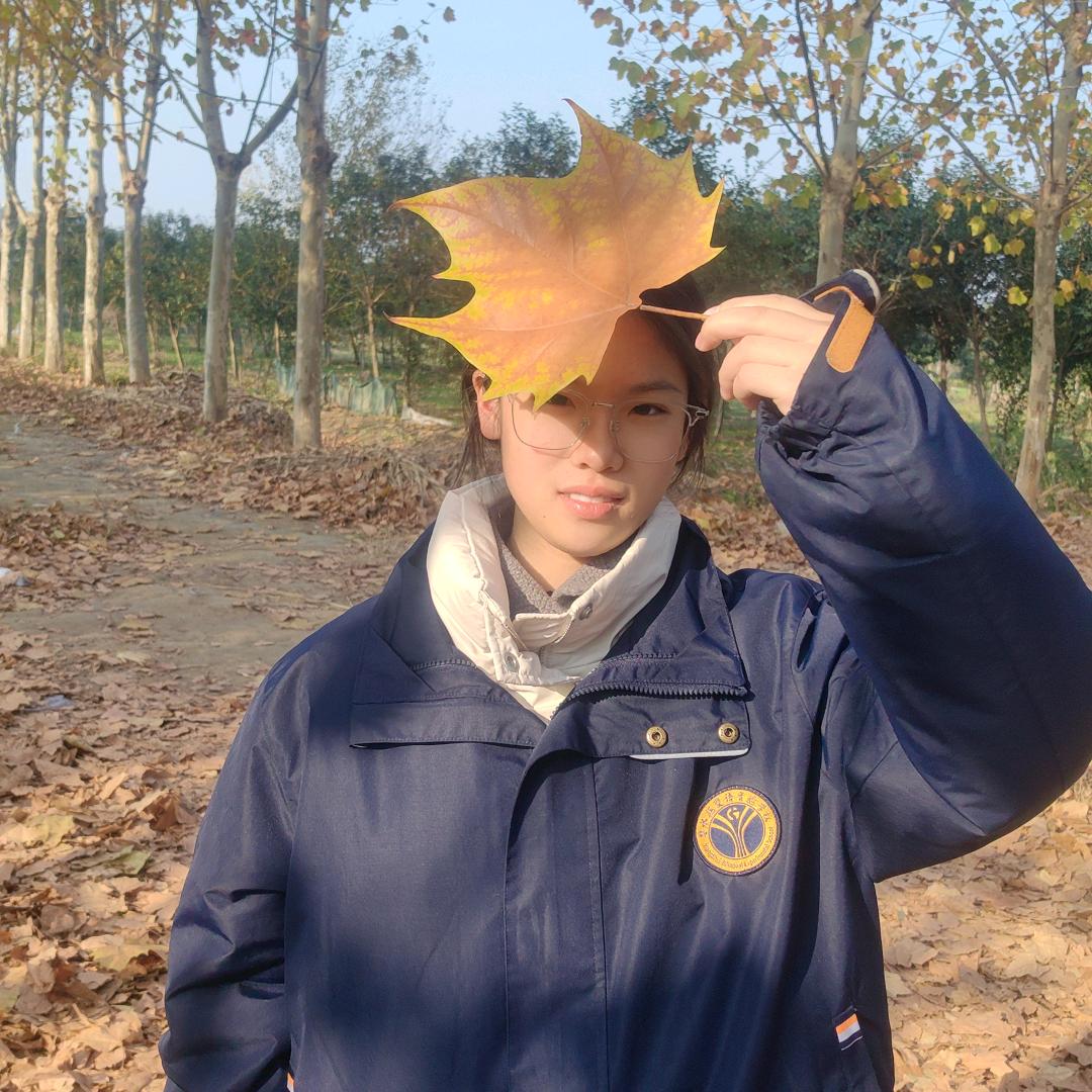 自由自由