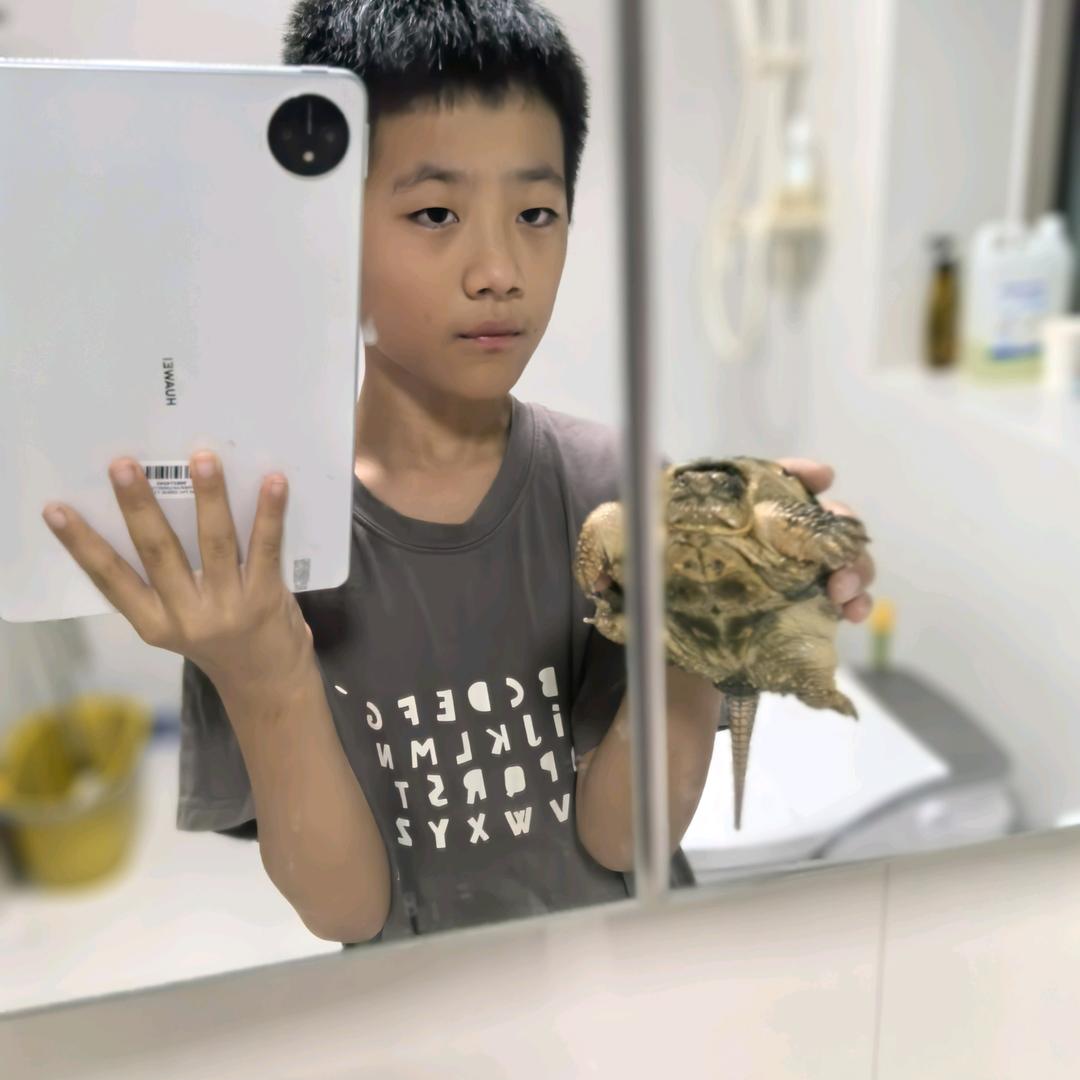 昆虫解说员🦎🐍