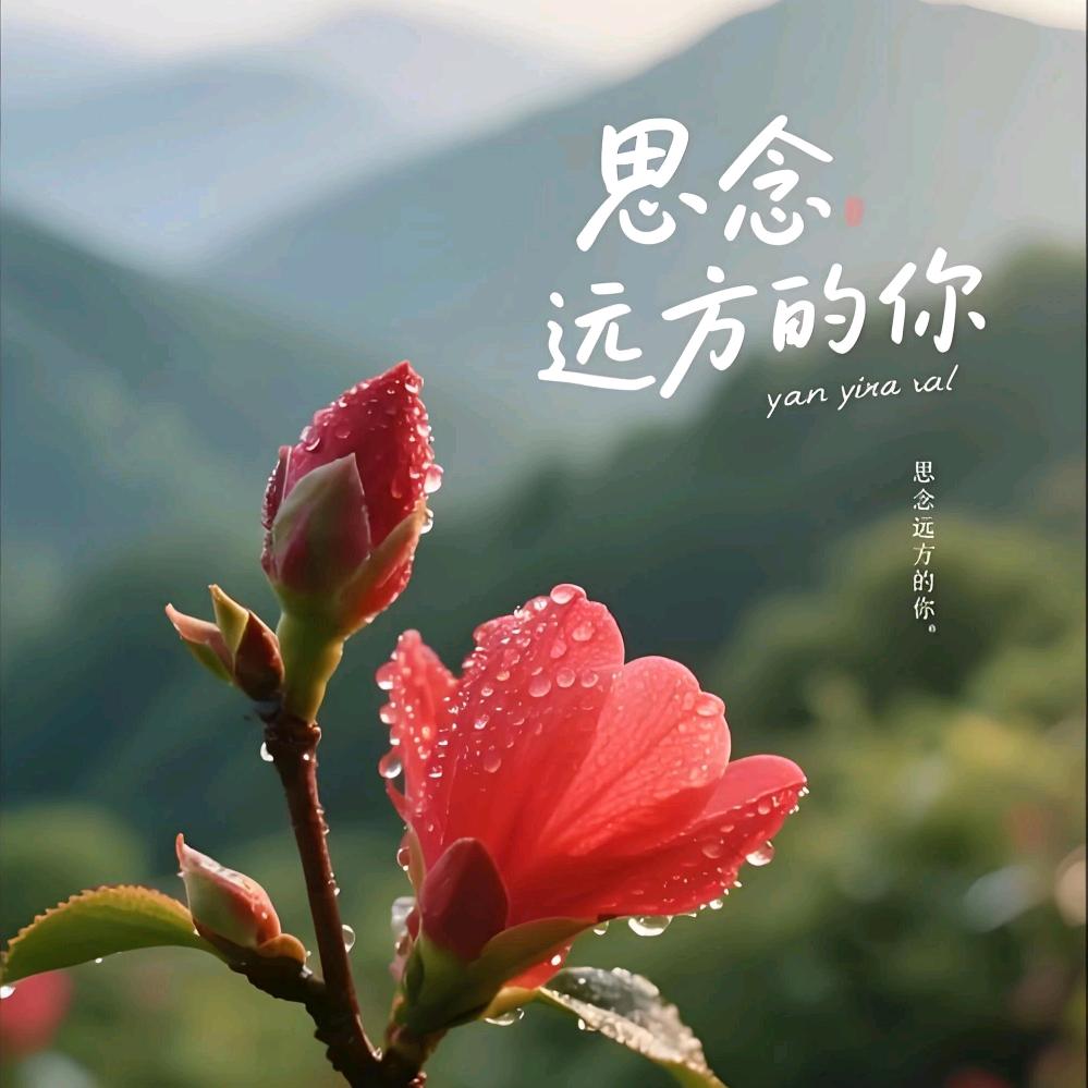 湖北方姐🍎🍎🍎