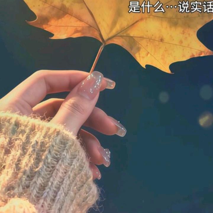 花开富贵头像