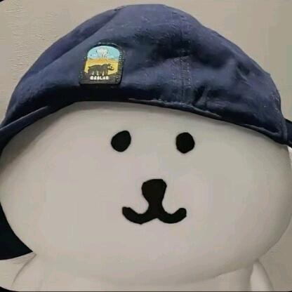 雪忆