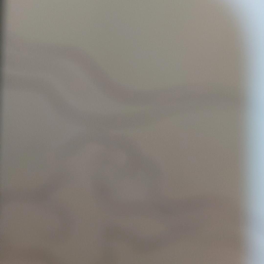 绝笔的蜜语