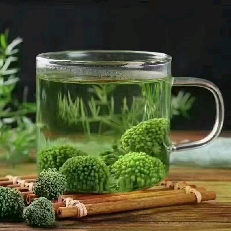 徐菘苑