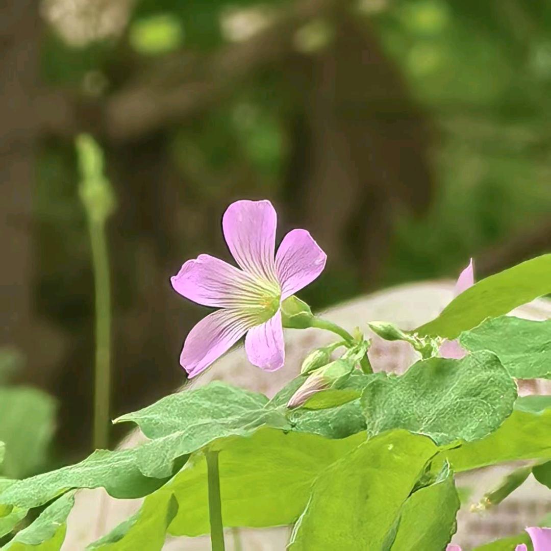 汇生活好物