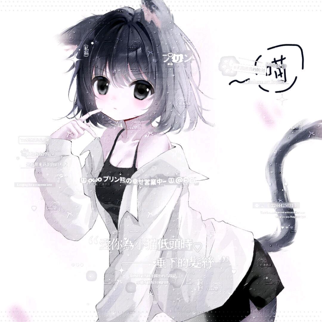 小白