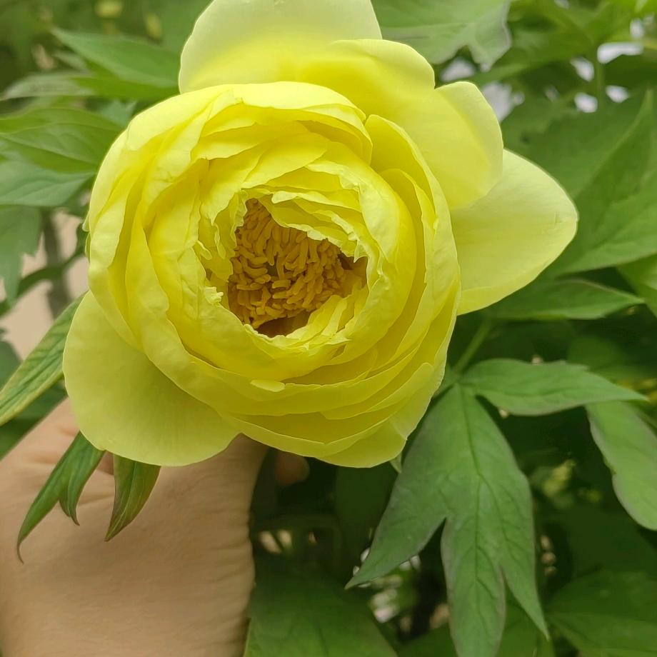 @三千金🌈的麻麻