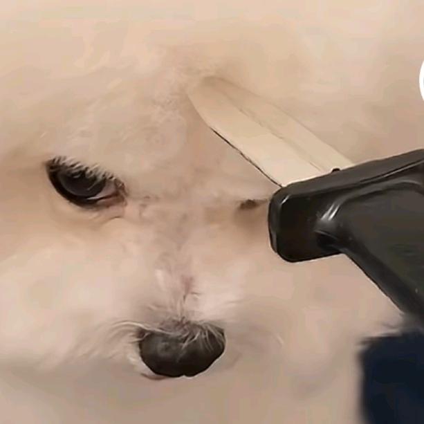 剥开乌云看晴天