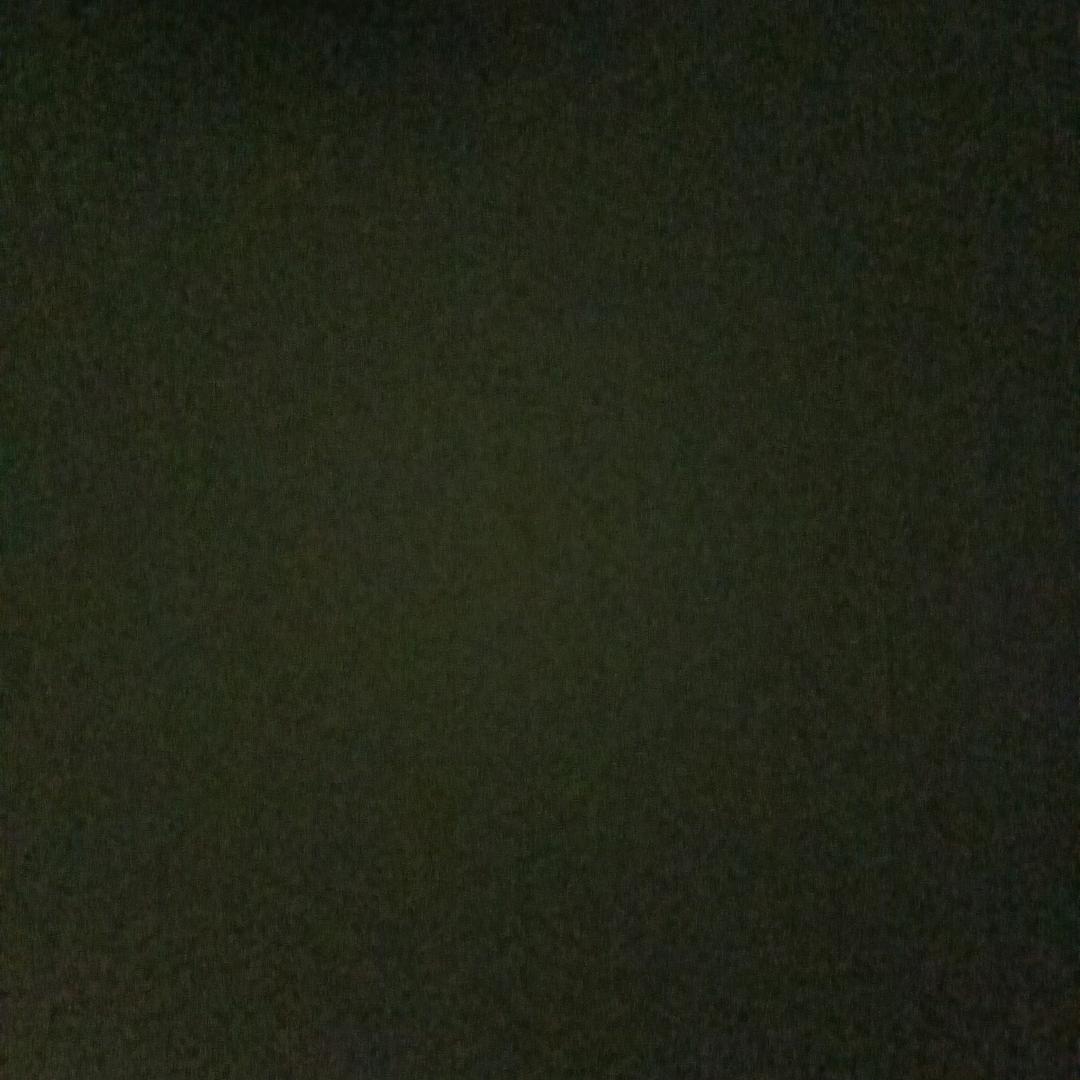 2025 1月13