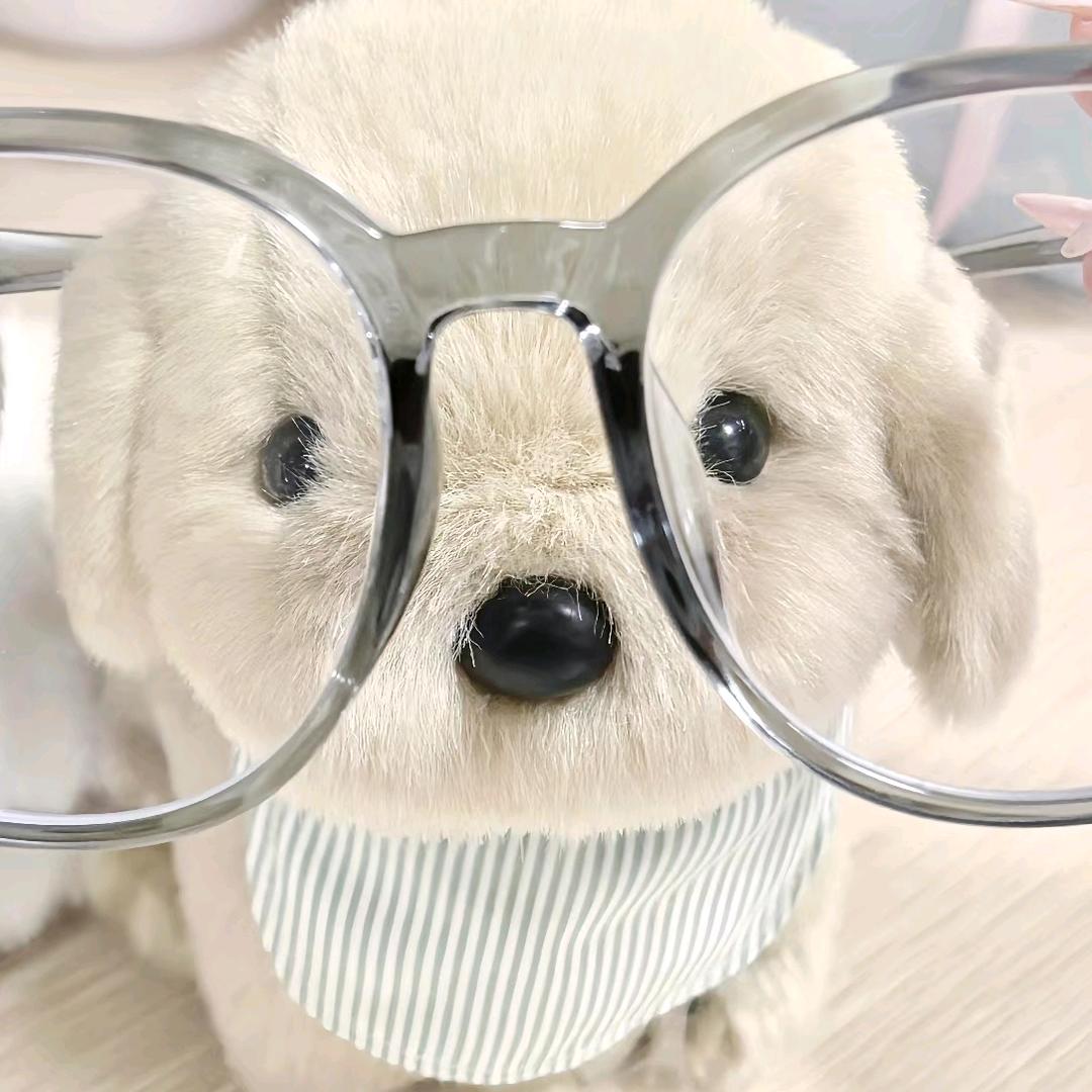 💗小禹&小极💗