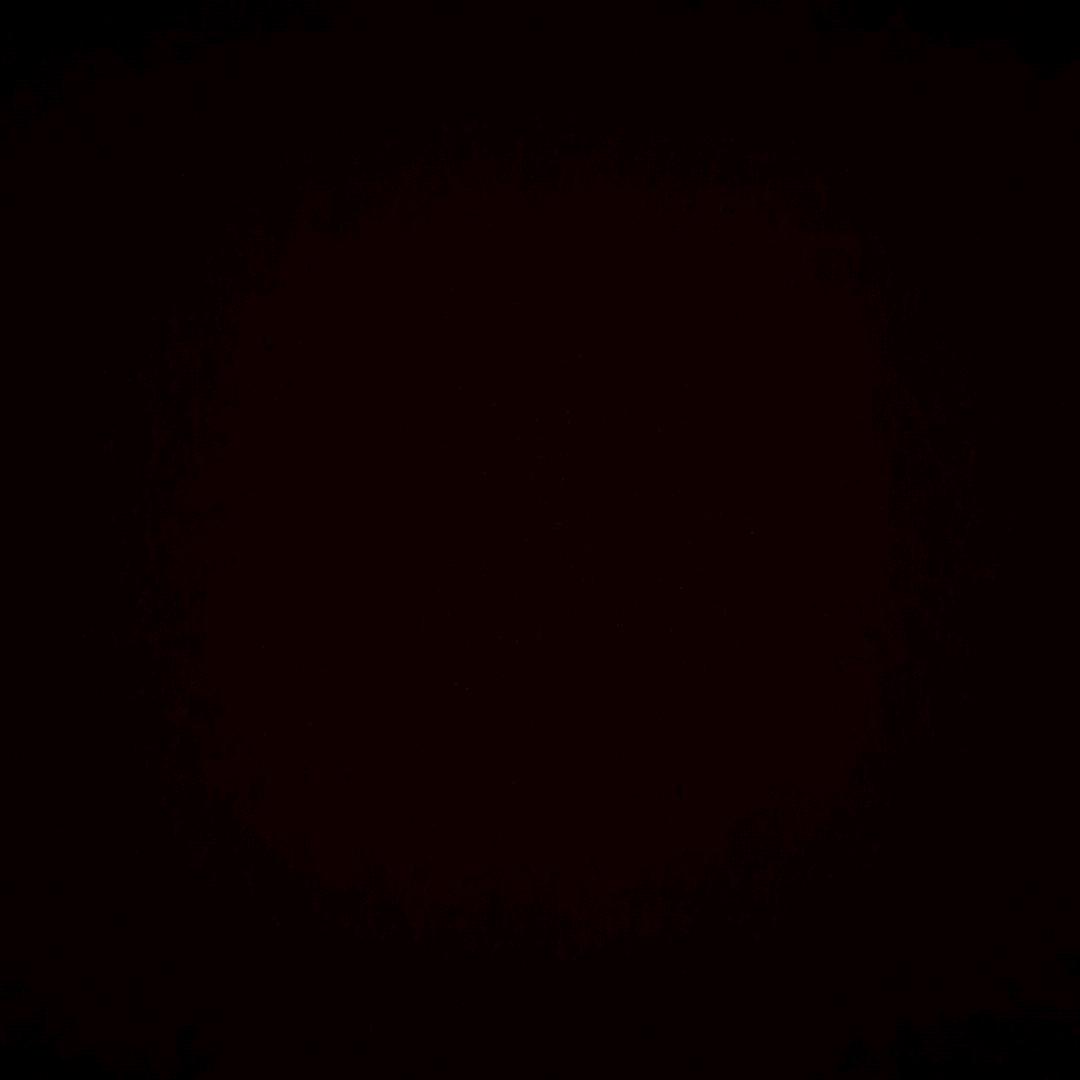 用户31849943437