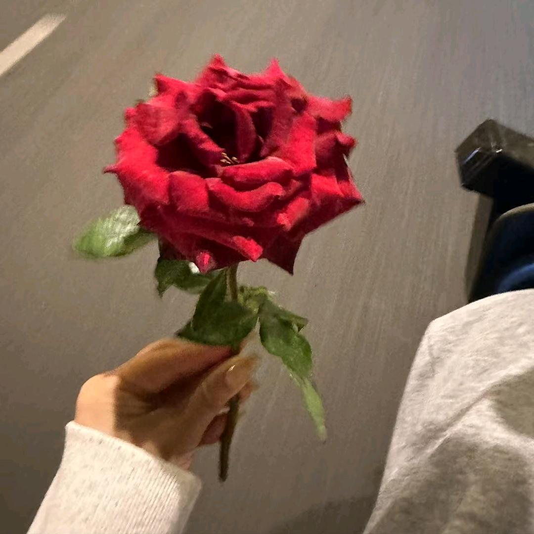 愿以陌生为名