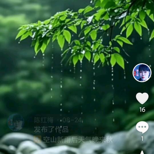 陈红梅