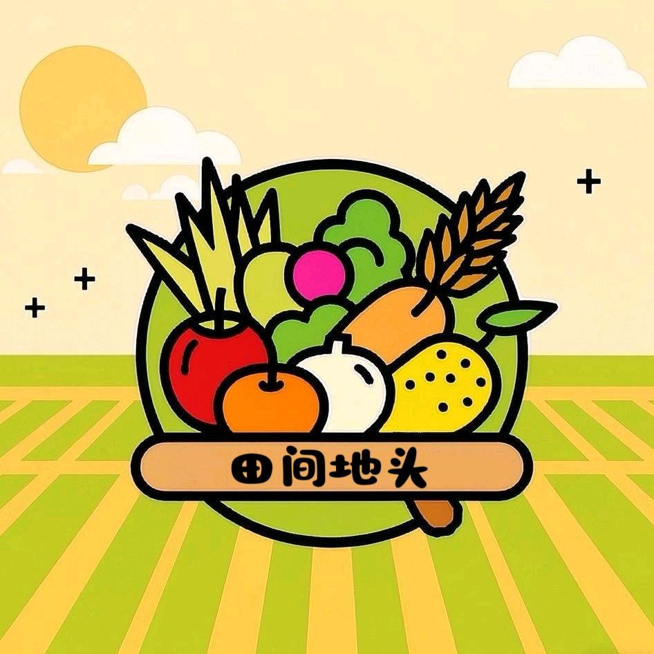 田间地头的希望（山东大姜）