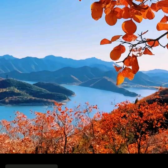 龙行天下，纵横四海