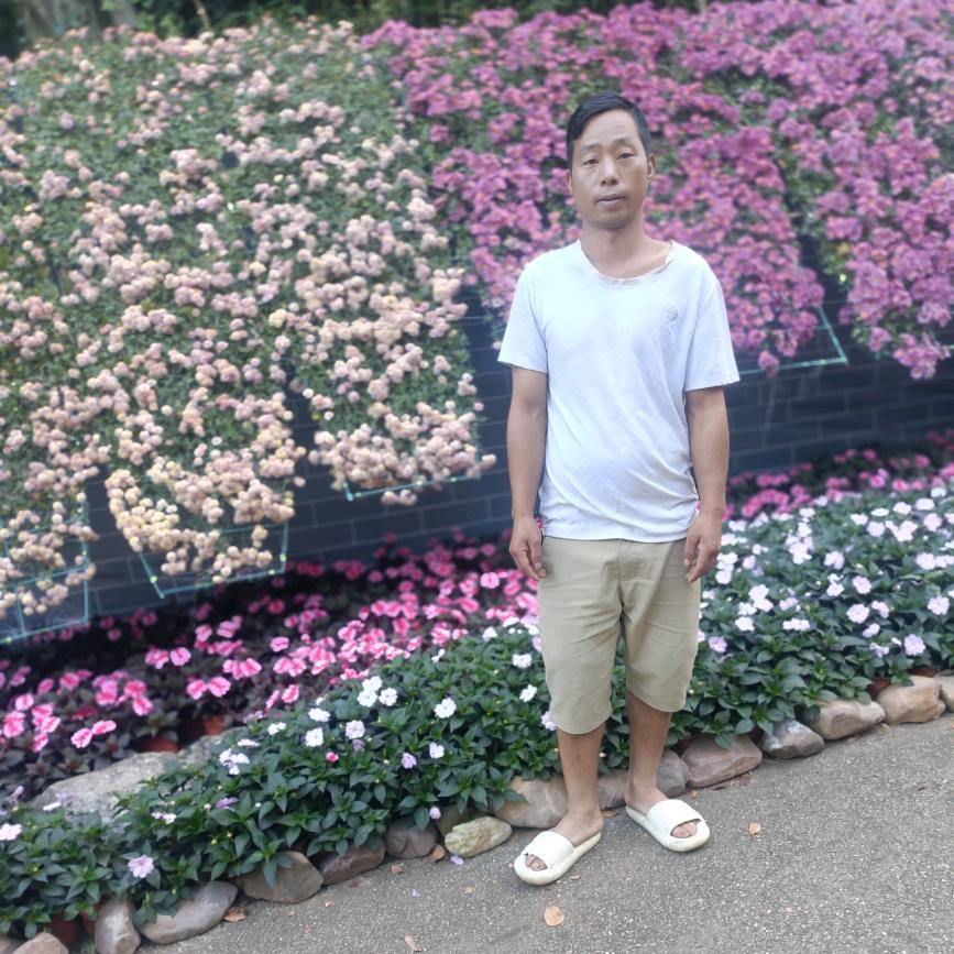 专业找蜂
