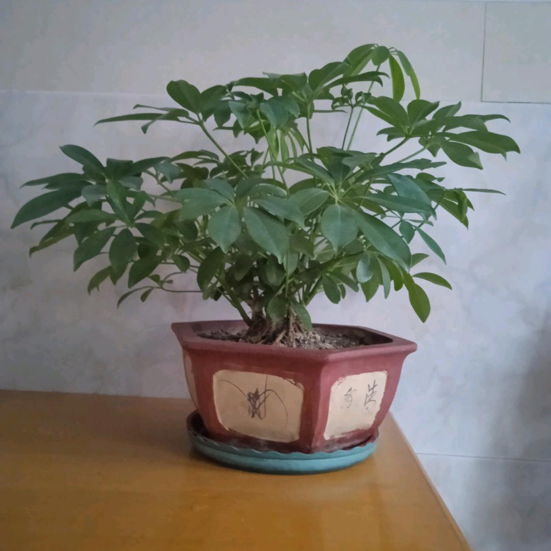 路过