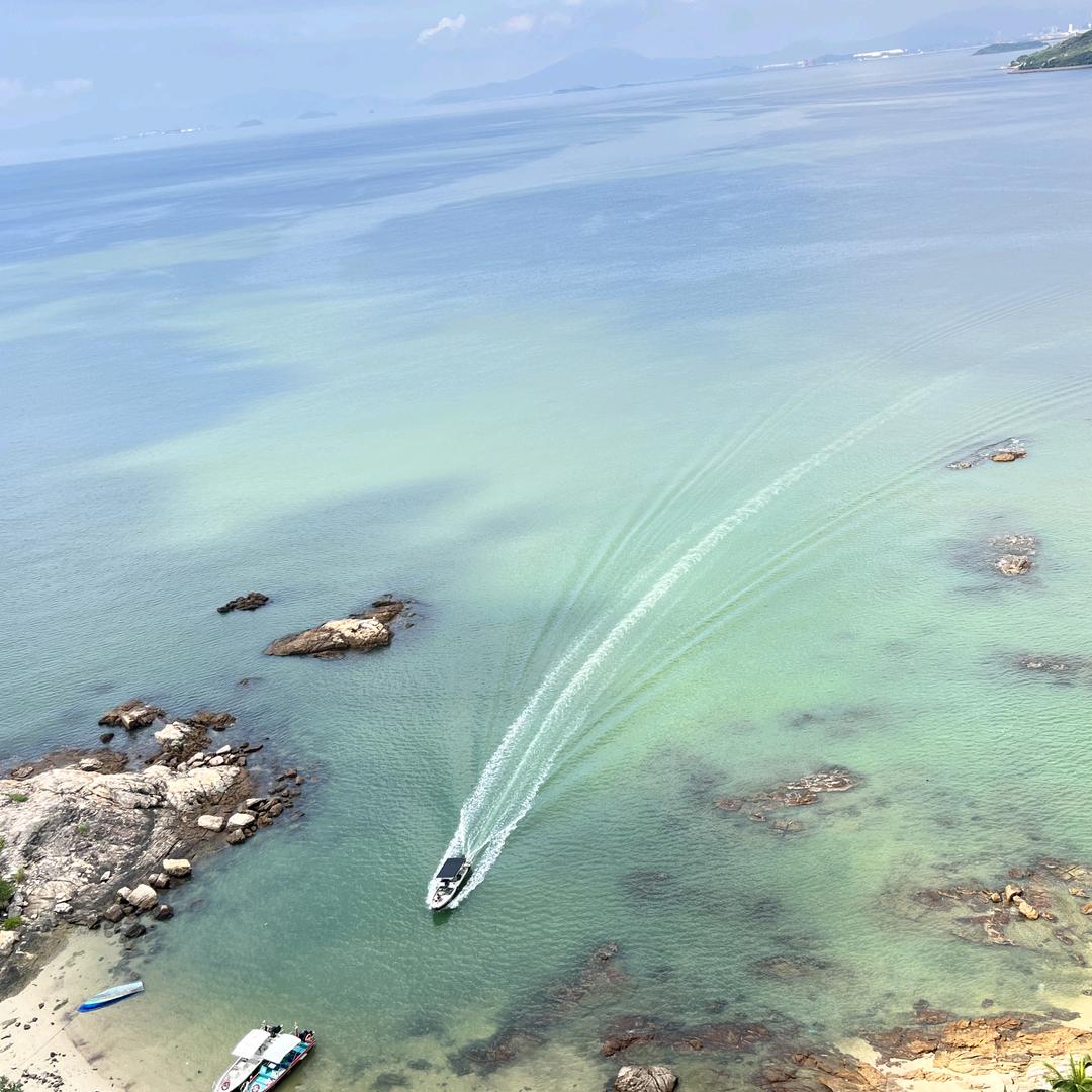 从此谈花谈妞不谈情