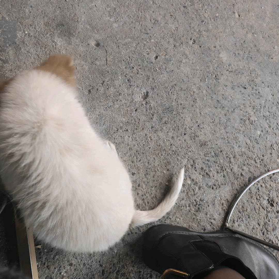 春夏秋