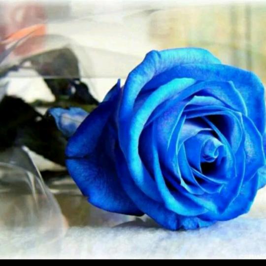 眼睛写满了故事，带给你无数的沧桑