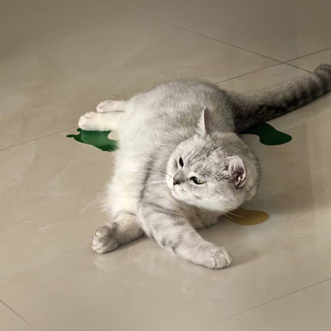 敬芯云途定制游