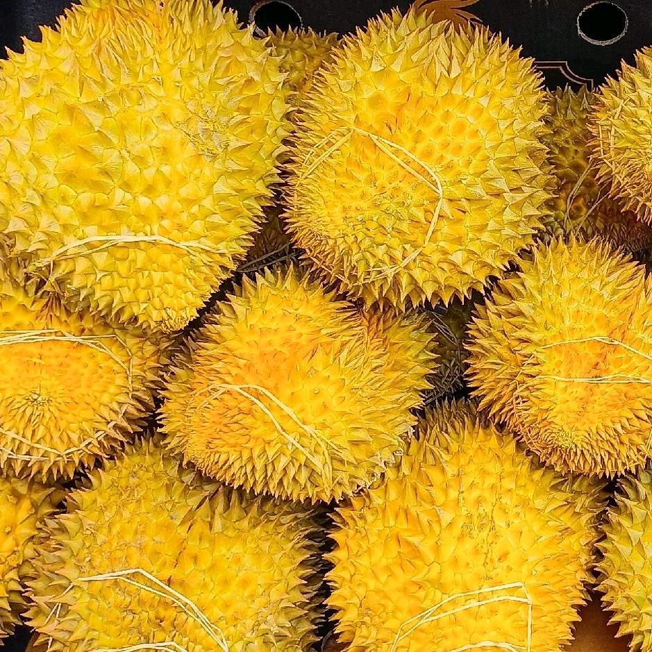 精品水果头像