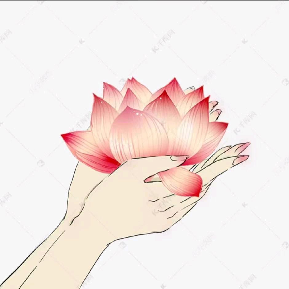 小鱼
