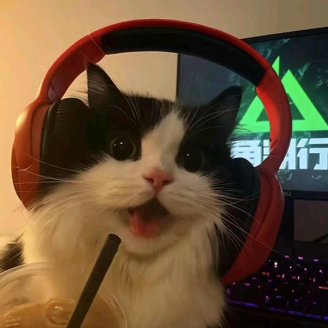 红鼠窝电竞(特色99无上限)