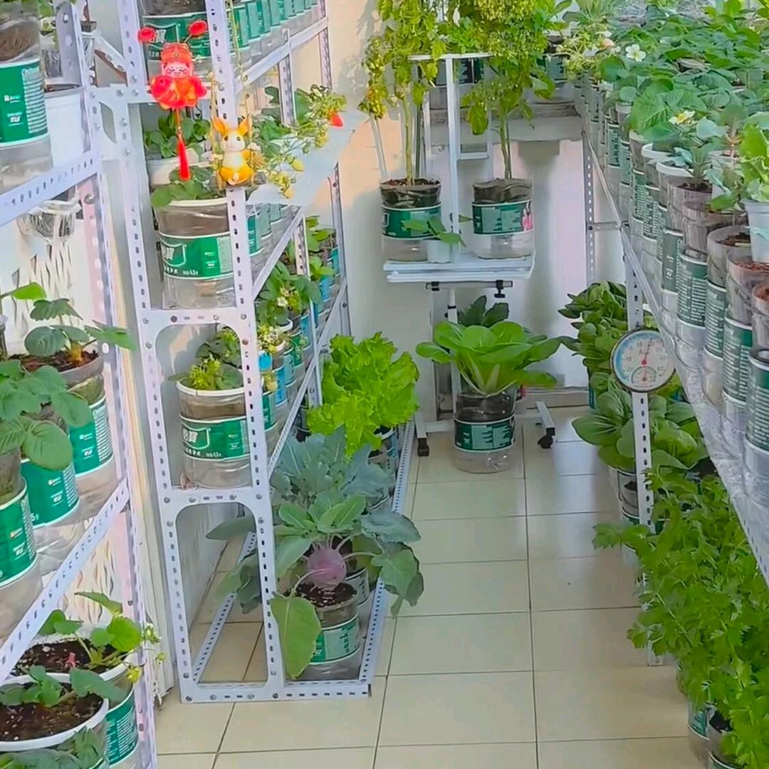 骑着蚊子🦟上太空