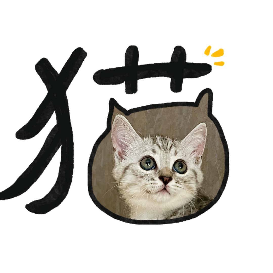钟小小