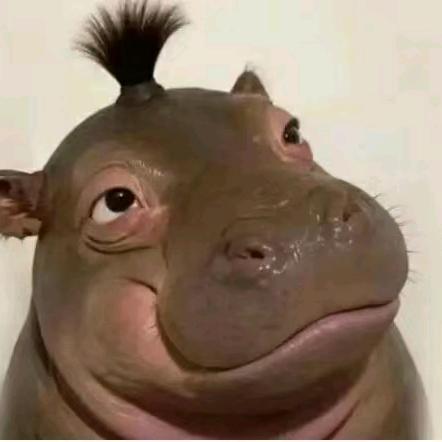 sh