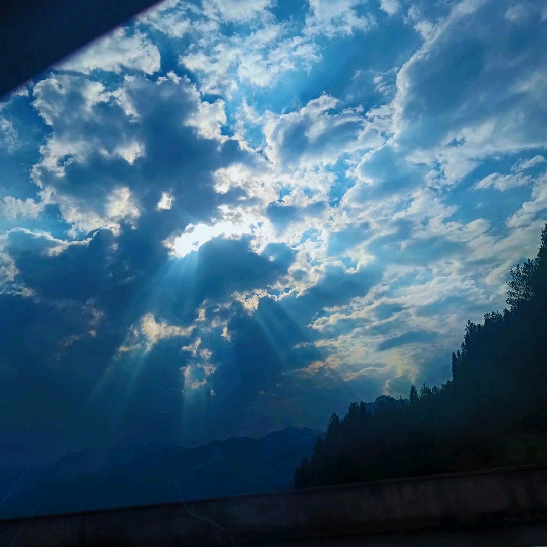 从明天开始自律🌚