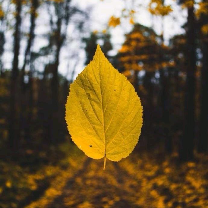 南通丽辉酒店小小