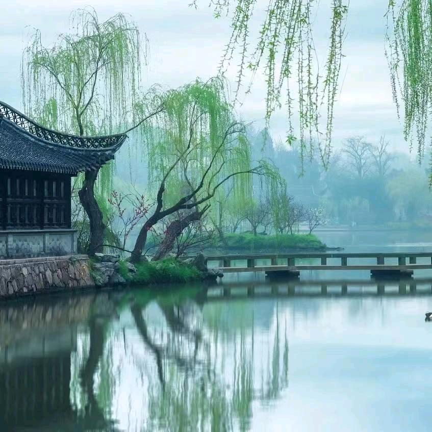 四根傻柱子