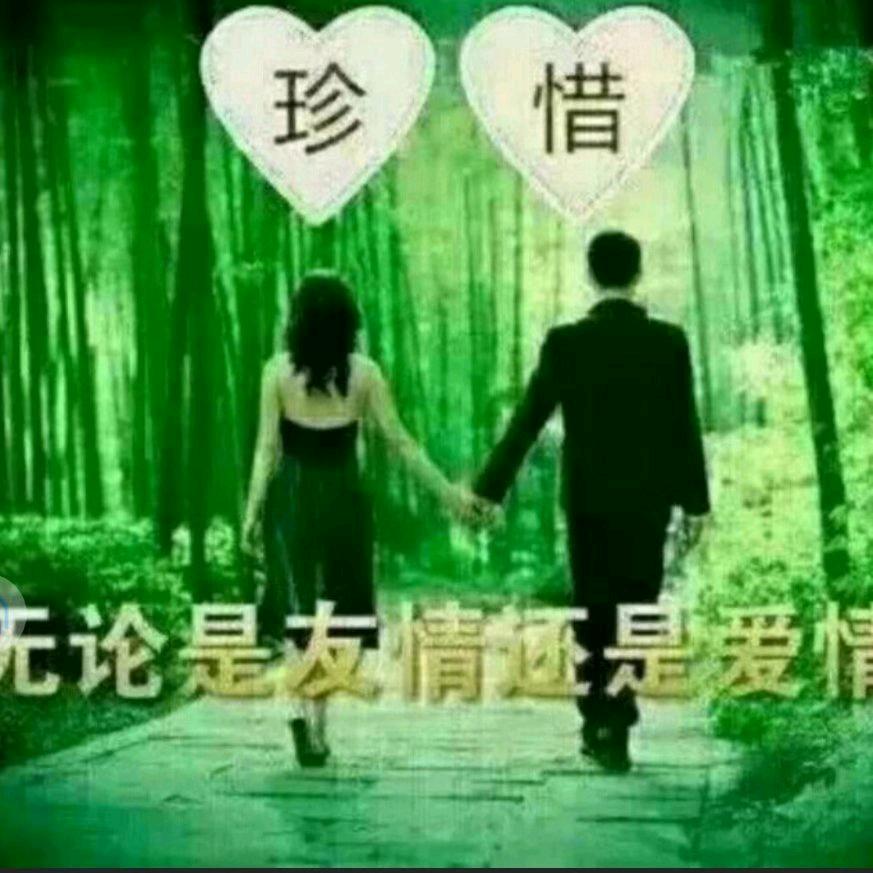 风雨燕归来
