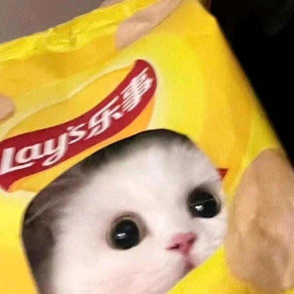 一枝鱼