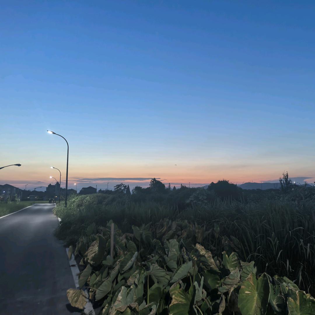 🐯࿚¹꯭⁹꯭₈꯭₆꯭এ⁵²º᭄虎哥💞