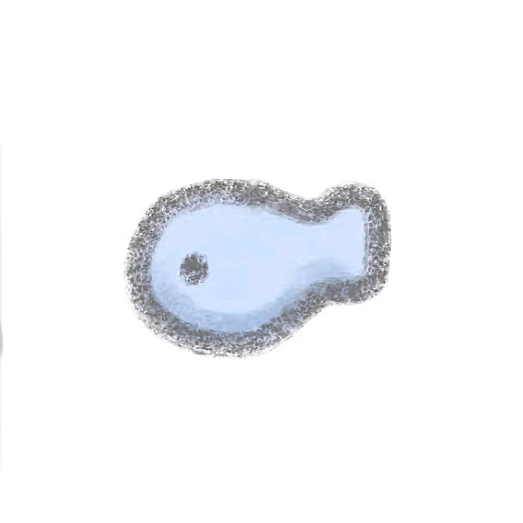 Zhong