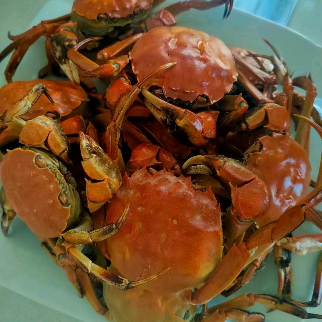 卖螃蟹🦀的小仙女