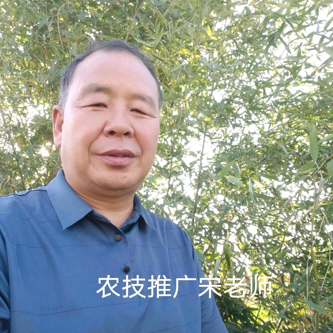 社旗昊邦宋老师