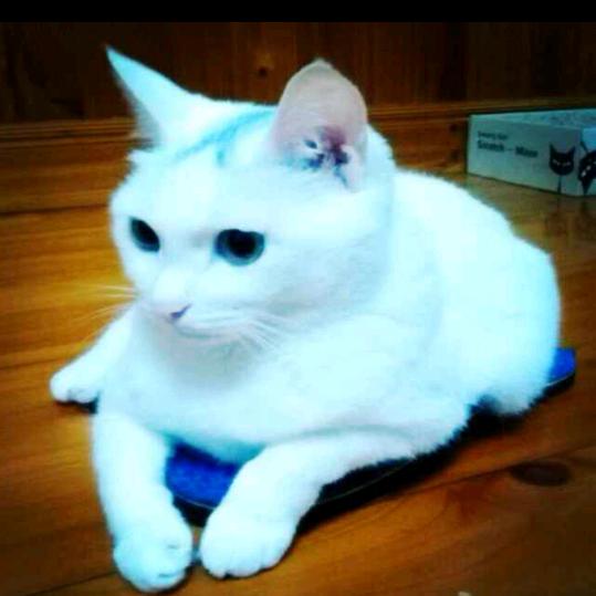 三生石下
