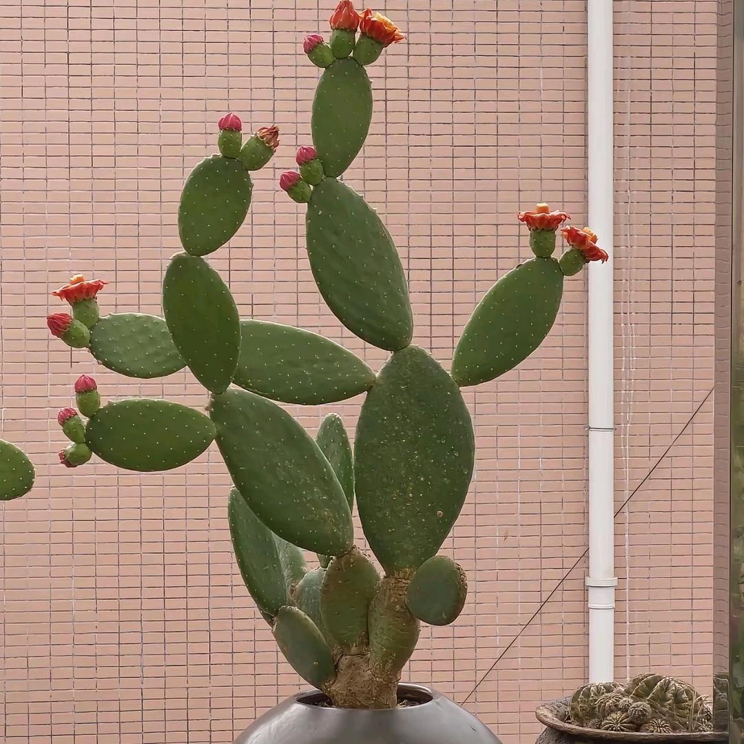 邮见一家供应链