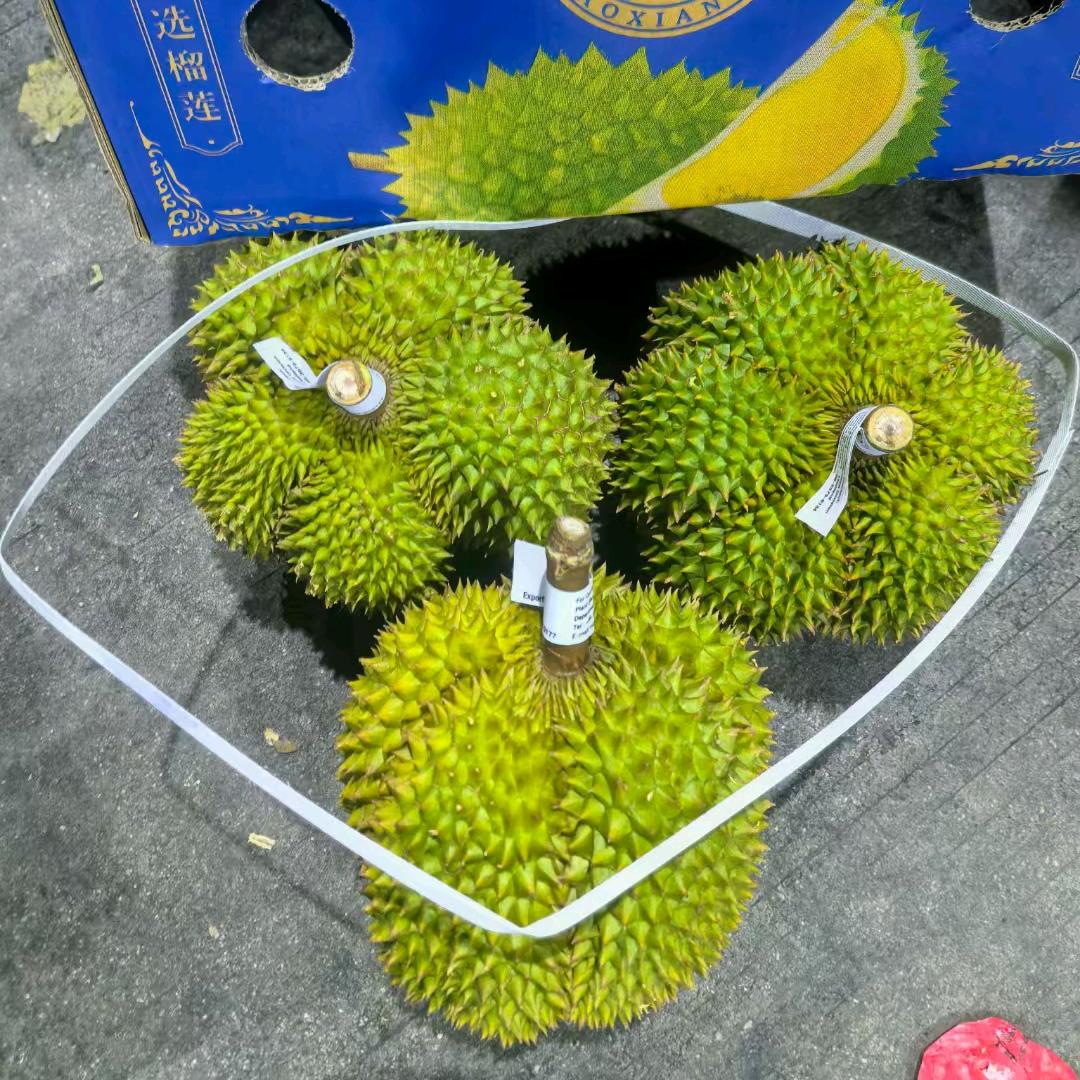 A6 果 《榴莲钱行A货》