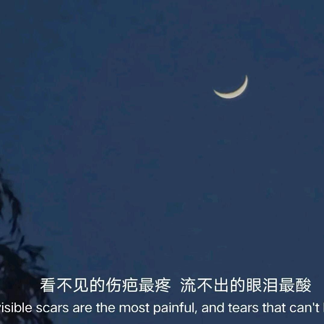 勿忘“❤️”不忘李