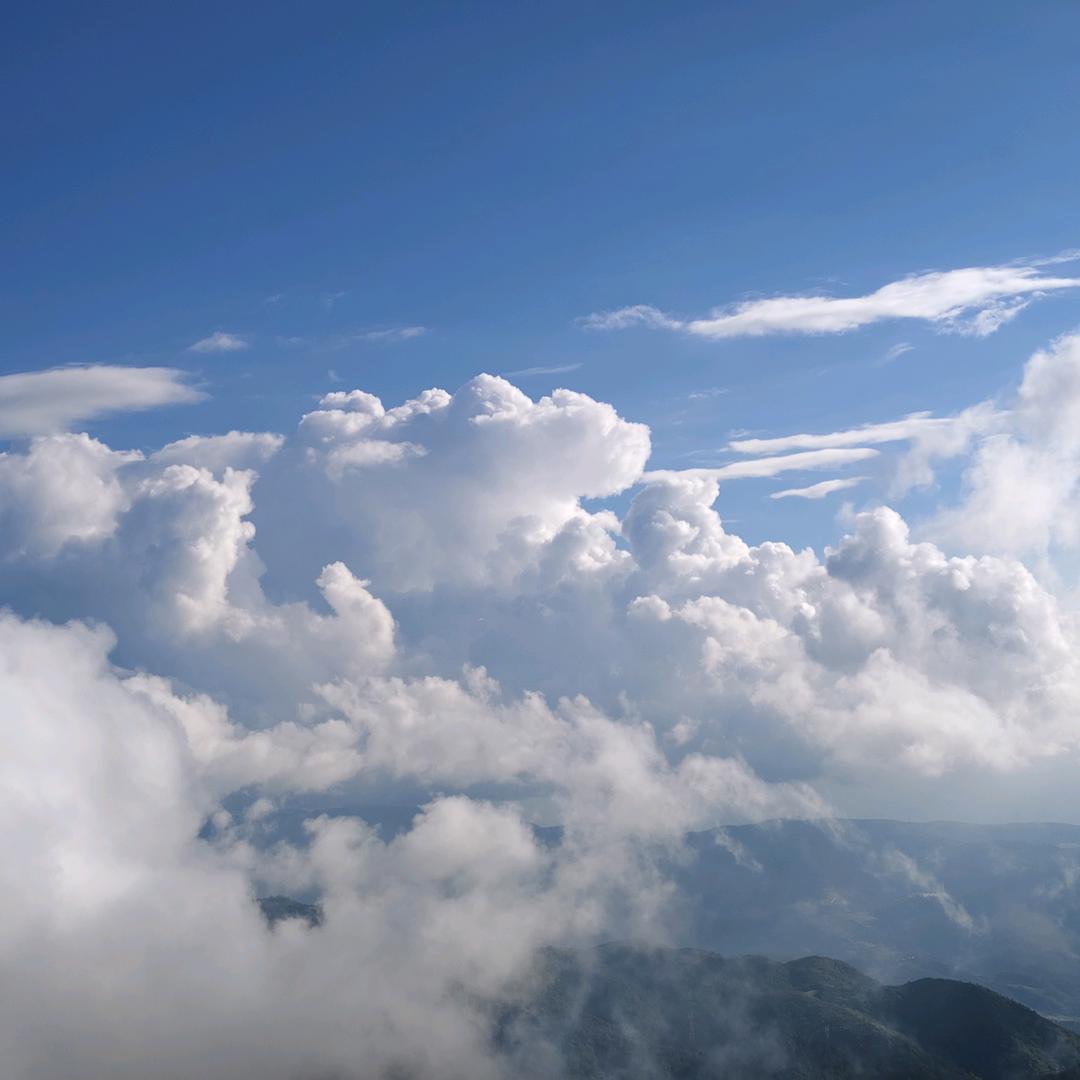 东街电信营业厅