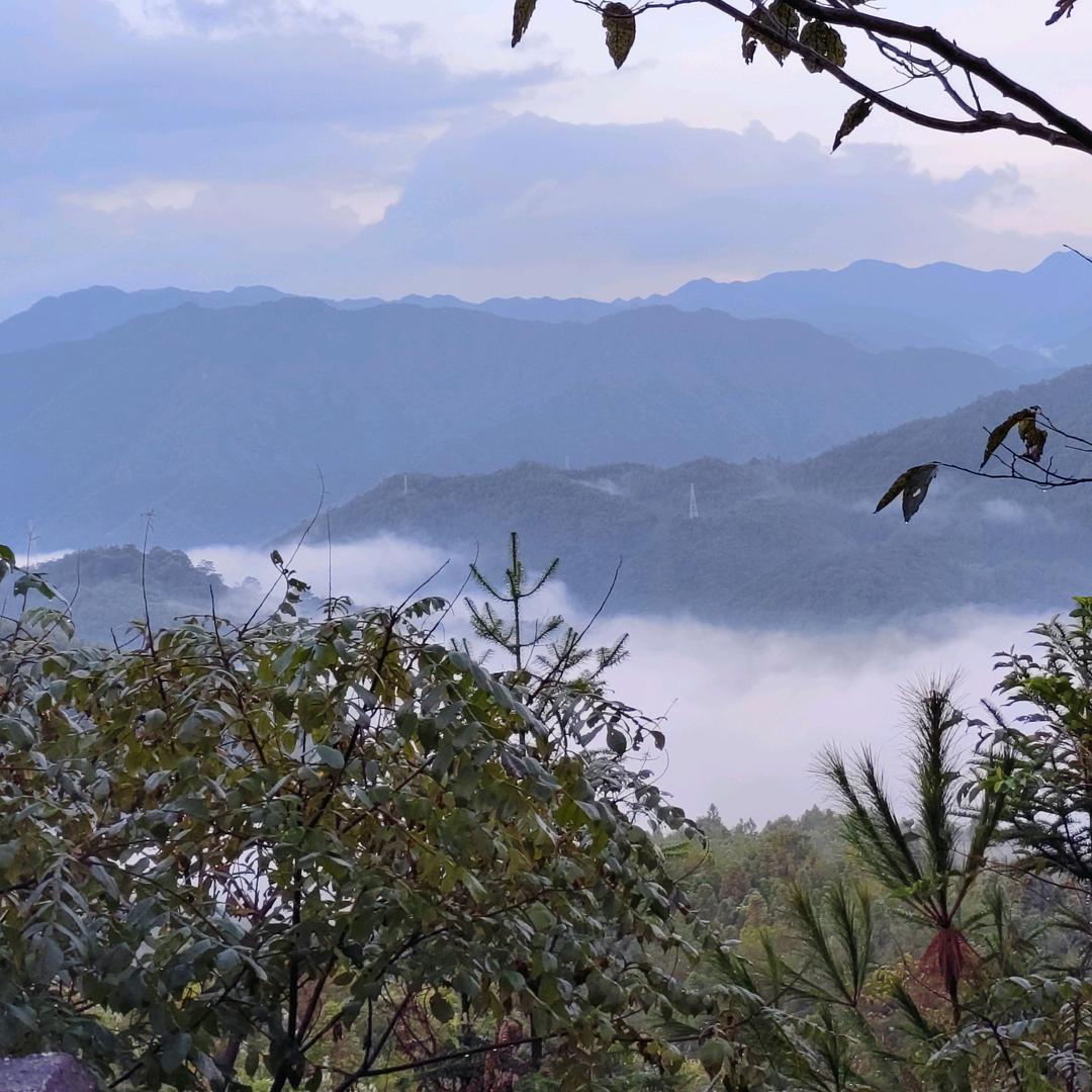 🦋无꧔ꦿ᭄悔💞人🦋生꧔ꦿ᭄💞