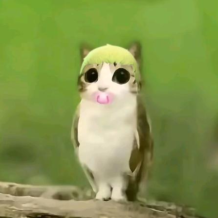 新世纪芥末战士